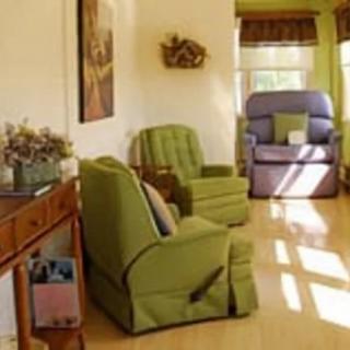 A cozy living room featuring green armchairs and a wooden floor.