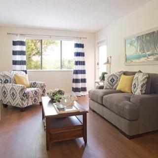 A cozy living room with a sofa, armchair, and coffee table, featuring stylish decor and bright curtains.