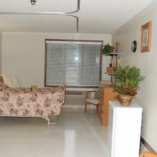 A cozy living room with a floral sofa, a large window with blinds, indoor plants, and a wooden shelf.
