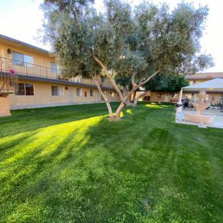 A well-maintained garden with lush green grass, trees, and adjacent buildings.