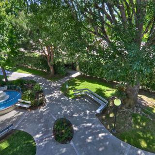 A serene park with lush greenery and winding pathways.