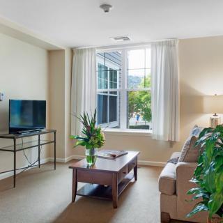 A cozy living room with a large window, featuring a sofa, coffee table, and television, decorated with plants.