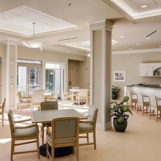A modern and spacious dining area with ample natural lighting, featuring tables, chairs, and decorative plants.