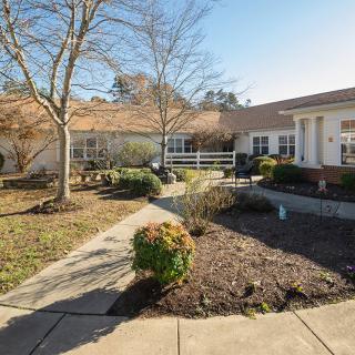 A sunny courtyard with a landscaped garden and pathway leading to a residential building.
