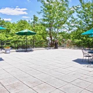 A spacious outdoor patio with tables and umbrellas under a bright, sunny sky surrounded by trees.