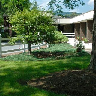 A sunny day with lush greenery surrounding a building entrance.