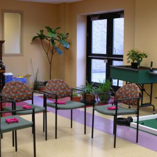 A cozy waiting room with chairs arranged in a circle, surrounded by indoor plants and large windows.