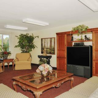 A cozy living room with comfortable furniture, a large television, and decorative plants.