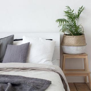 A minimalist bedroom with cozy bedding and a potted plant on a wooden stool.