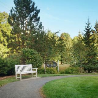 A serene park scene with a white bench alongside a curving pathway surrounded by lush trees.