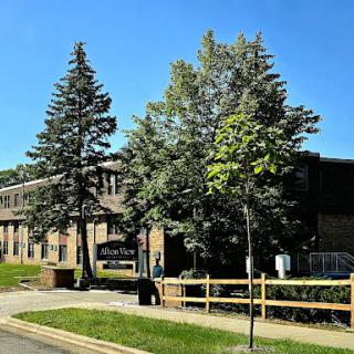 A view of a building surrounded by greenery under a clear blue sky.