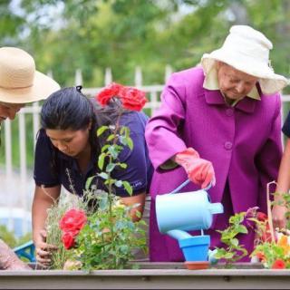 A group of people working together in a garden, tending to plants and flowers.