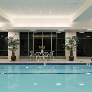 Indoor swimming pool with seating area and palm plants.