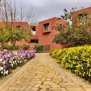 A scenic pathway lined with colorful flowers leads to a modern building, surrounded by lush greenery.