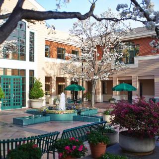A peaceful courtyard with a central fountain, surrounded by blooming trees and flowers, offering outdoor seating under green umbrellas.