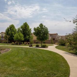A serene view of a park with a paved pathway winding through lush greenery and trees.