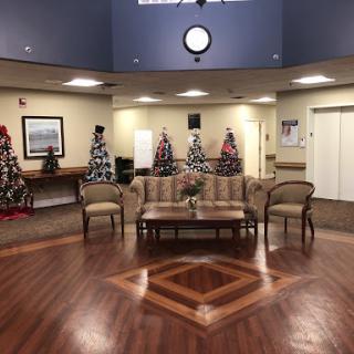 A cozy lobby decorated for the holiday season, featuring multiple Christmas trees and comfortable seating.
