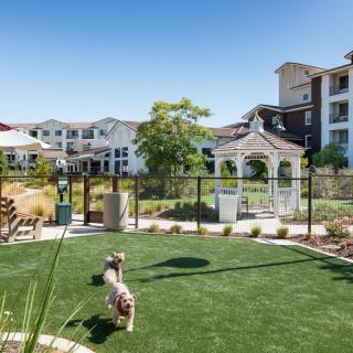 A well-maintained dog park within a residential apartment complex, featuring green landscaping and a gazebo.