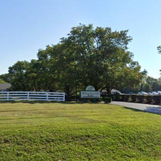 A peaceful driveway entrance surrounded by lush greenery and a white fence.