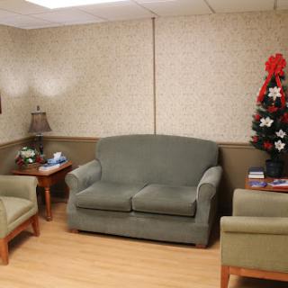 A cozy living room setup featuring a green sofa and chairs, complemented by a festive Christmas tree.