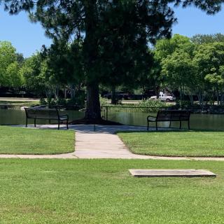 A serene park scene with benches facing a pond, surrounded by lush greenery and trees.