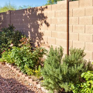 A sunlit garden with a variety of plants growing along a brick wall.