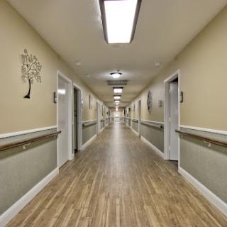 A well-lit hallway with wooden flooring, featuring doors on either side and a decorative tree artwork on the wall.