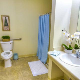 A clean, well-organized bathroom featuring a sink with an orchid plant, a toilet, and a shower area with a blue curtain.