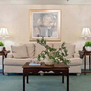 A cozy living room with a sofa, coffee table, and decorative plants, featuring a framed painting on the wall.