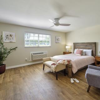 A cozy bedroom with a wooden floor, featuring a comfortable bed, a large potted plant, and ample natural light from the window.