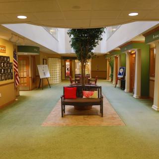 A well-lit lobby with benches, green carpeting, and decorative plants.