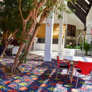 A bright indoor space with colorful carpet, modern furniture, and natural light filtering through the trees.