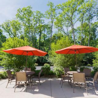 A sunny outdoor patio with tables, chairs, and bright orange umbrellas surrounded by lush trees.