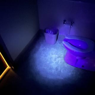 A bathroom illuminated with purple neon lighting, featuring a toilet and wastebasket.