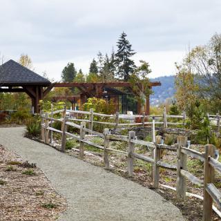 A serene garden pathway with a wooden fence and gazebo, surrounded by lush trees.
