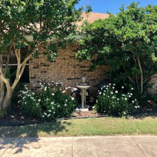 A lovely garden featuring a stone fountain surrounded by blooming flowers and greenery.