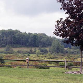 A peaceful landscape with a wooden fence, grassy field, and trees under a cloudy sky.