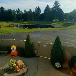 A backyard with festive pumpkin decorations overlooking a lush green landscape and trees.