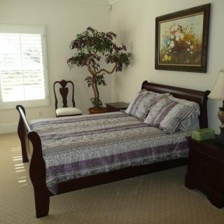 A cozy bedroom featuring a wooden bed, nightstand, decorative plant, and wall art.