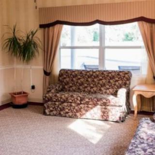 A cozy living room with a floral sofa, large window, and decorative indoor plant.