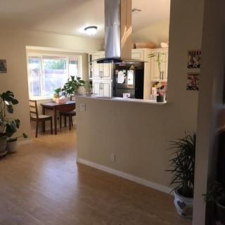 An open-plan kitchen and dining area with wooden flooring and indoor plants.