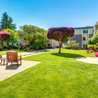 A beautifully landscaped garden area with lush green lawn, trees, and outdoor seating in an apartment complex on a sunny day.