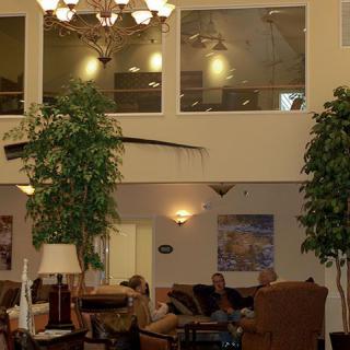 A spacious lobby area featuring comfortable seating, large indoor plants, and a chandelier.