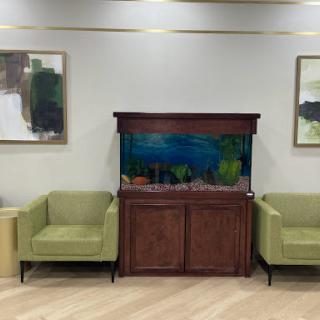 A cozy waiting area featuring green chairs and an aquarium, complemented by abstract art on the walls.