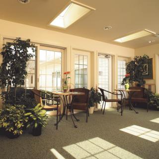 A cozy waiting room with natural lighting, featuring several chairs and tables surrounded by greenery.