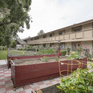 A community garden with raised beds outside an apartment complex.