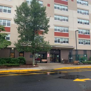 A residential apartment building with a tree near the entrance.