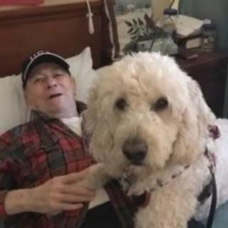 A person lying in bed with a fluffy dog nearby.