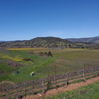 Veterans Home Of California - Yountville