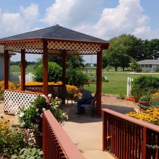 A beautiful garden with a wooden gazebo surrounded by vibrant flowers under a sunny sky.